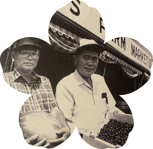 marisa’s japanese american roots